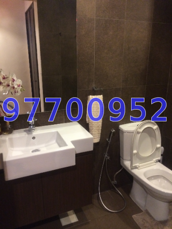 Spring Grove (D10), Condominium #10476082